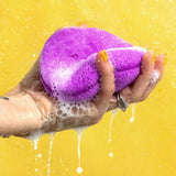 Ecotools Bio Blender Body Clean Makeup Sponges Tools