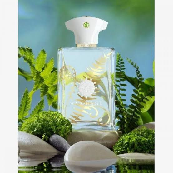 Amouage Bracken Men Perfume 3.4oz 100ml EAU DE PARFUM SPRAY