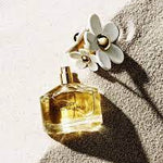 Marc Jacobs Daisy Women Perfume 3.4oz 100ml EAU DE TOILETTE SPRAY