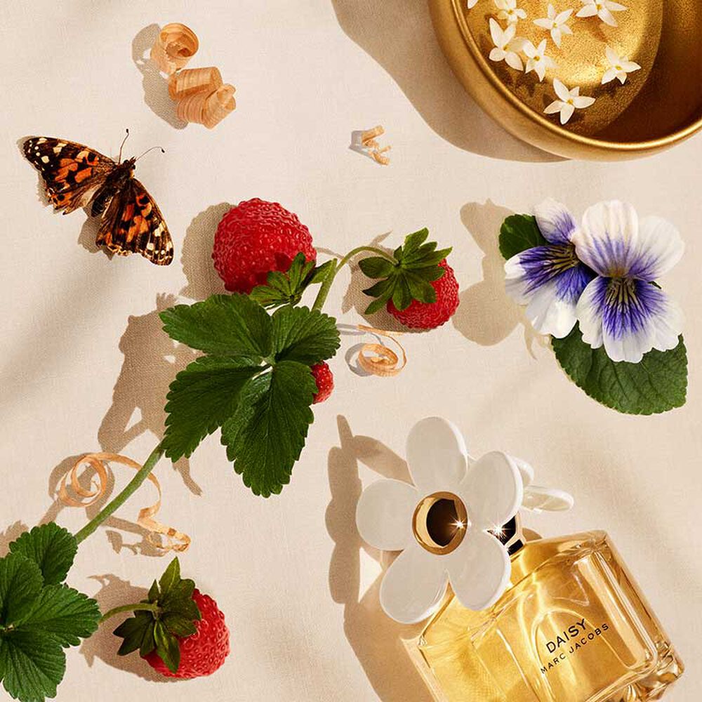 Marc Jacobs Daisy Women Perfume 3.4oz 100ml EAU DE TOILETTE SPRAY