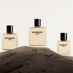 Burberry Hero Men Perfume 3.4oz 100ml EAU DE TOILETTE SPRAY