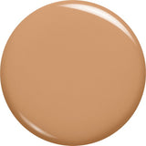 L'Oreal Infallible 24H Liquid Foundation 30ml 30ml, Hydrating, Waterproof, Full Coverage Base #color_260 Golden Sun