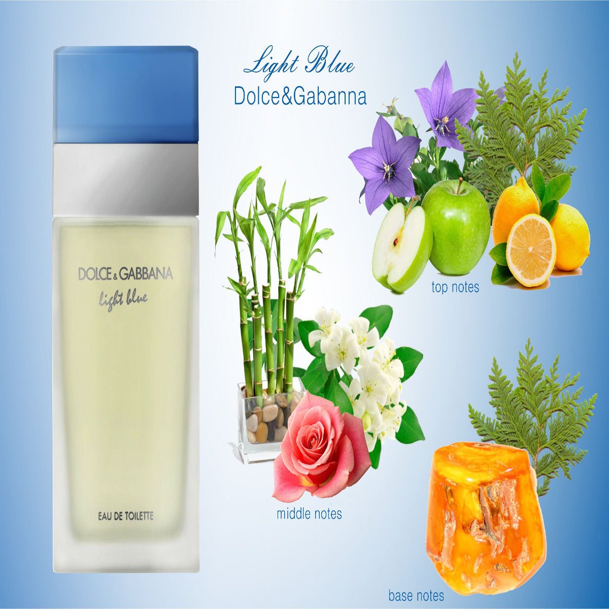 Dolce & Gabbana Light Blue Women Perfume 3.4oz 100ml EAU DE TOILETTE SPRAY