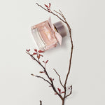 Burberry My Burberry Blush Women Perfume 3oz 90ml EAU DE PARFUM SPRAY