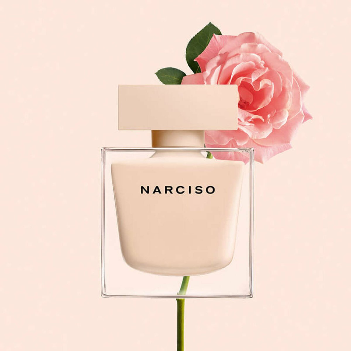 Narciso Rodriguez Narciso Poudree Women Perfume 5oz 150ml 3oz 90ml EAU DE TOILETTE SPRAY