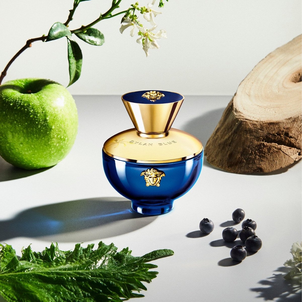 Versace Pour Femme Dylan Blue Women Perfume 3.4oz 100ml EAU DE PARFUM SPRAY