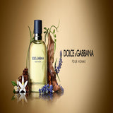 Dolce & Gabbana Pour Homme Men Perfume 4.2oz 125ml 6.8oz 200ml EAU DE TOILETTE SPRAY
