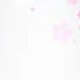 $swatch&.Cherry-Blossom
