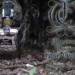 Juicy Couture Majestic Woods Women Perfume 3.4oz 100ml EAU DE PARFUM SPRAY