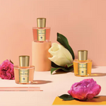 Acqua di Parma Rosa Nobile Eau de Parfum 100ml
