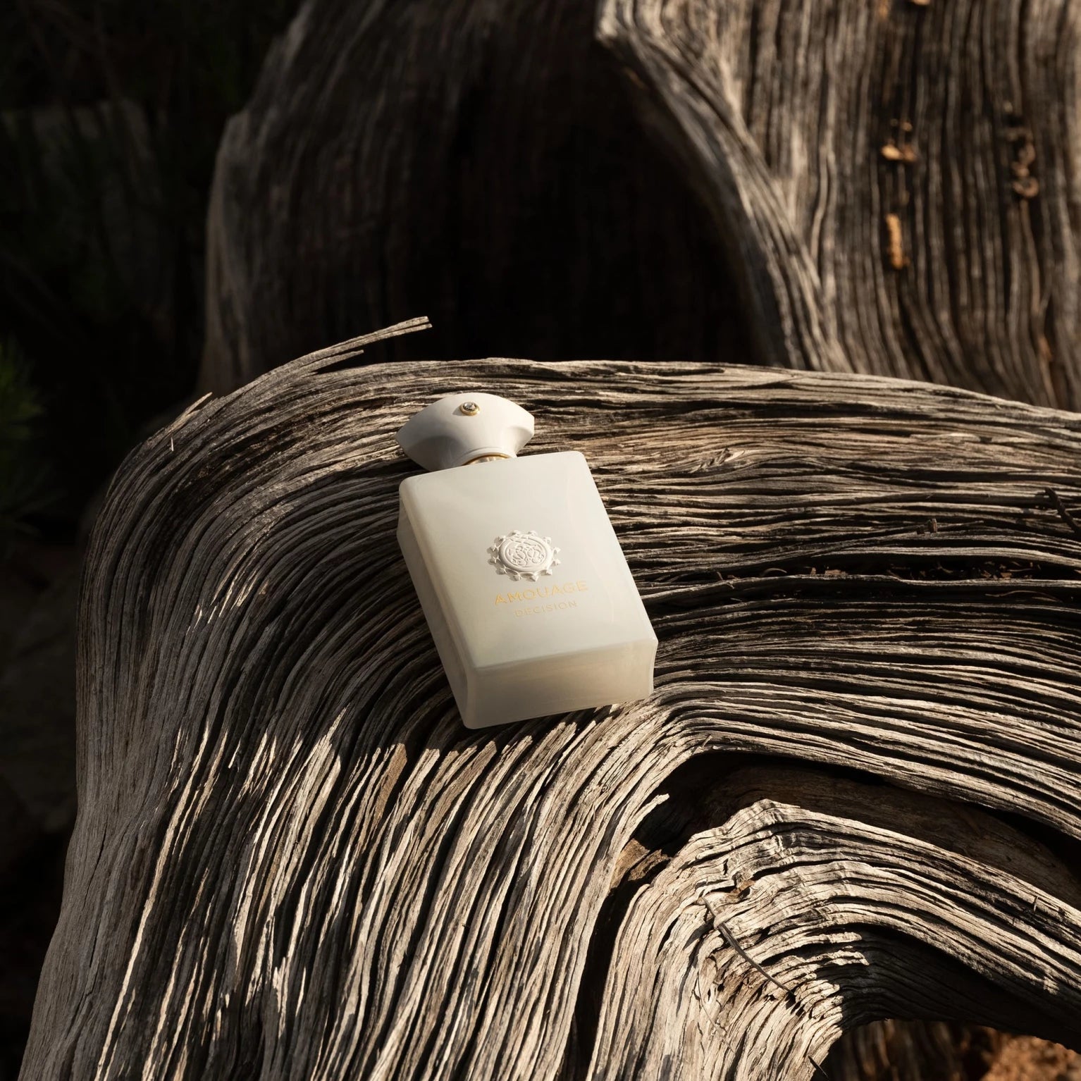 Amouage Decision Eau de Parfum 100ml
