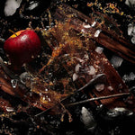 Apple Brandy On The Rocks EDP Perfume by Kilian 50ml