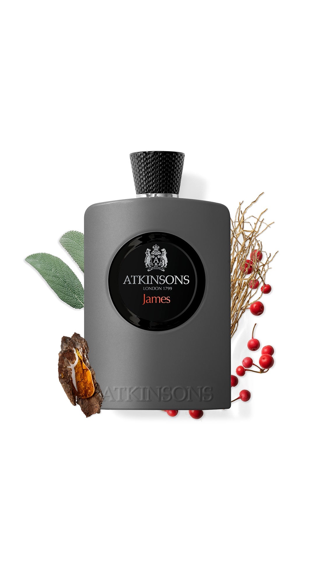 Atkinsons James Perfume 100ml EDP