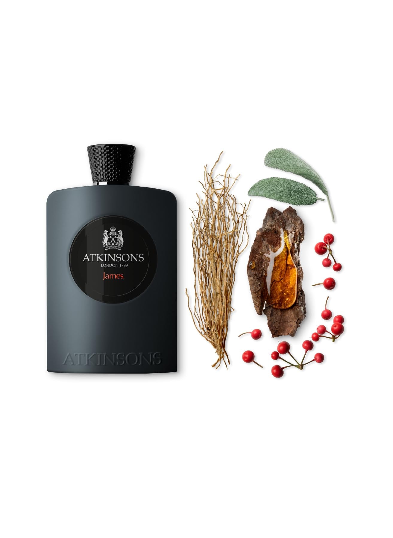 Atkinsons James Perfume 100ml EDP