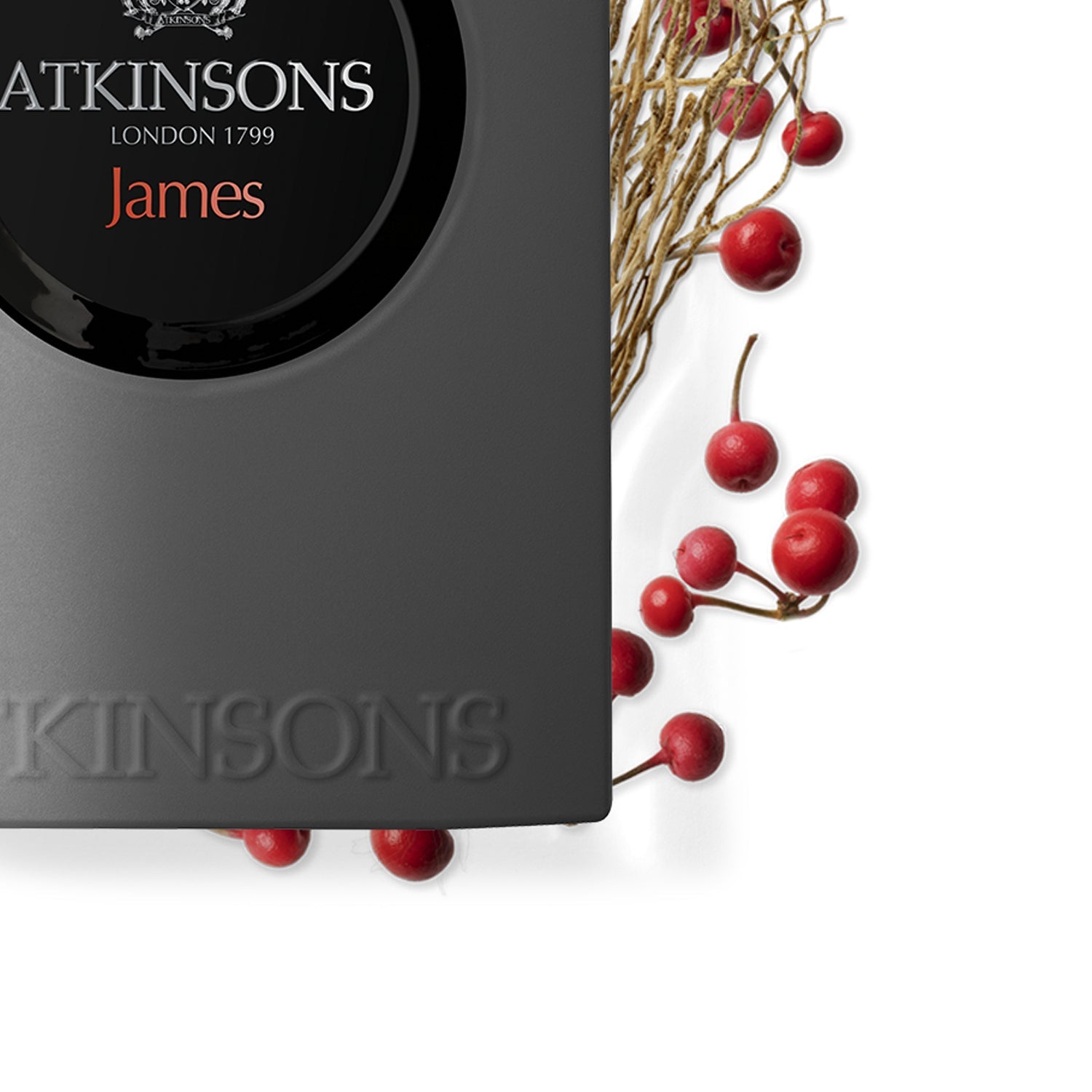 Atkinsons James Perfume 100ml EDP