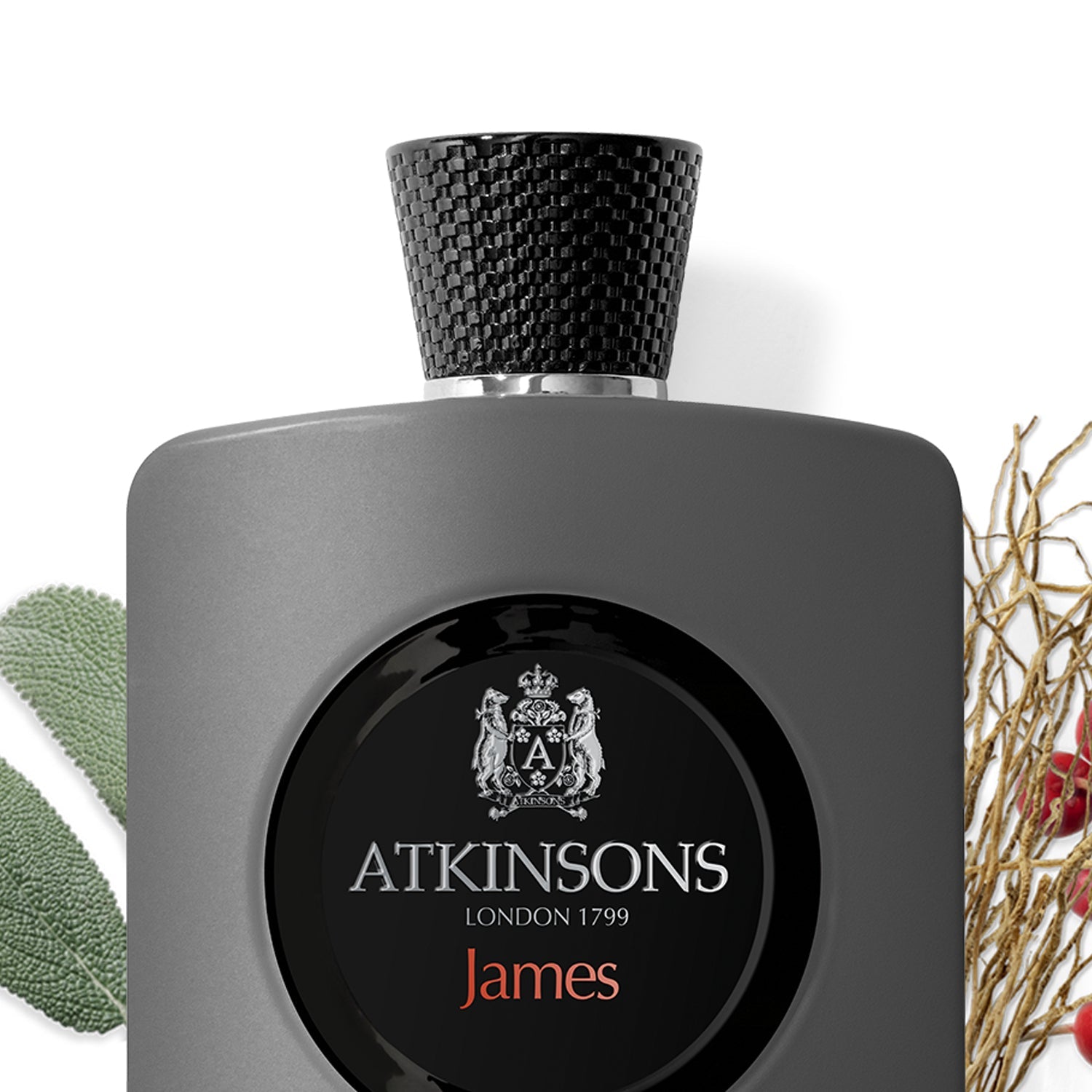 Atkinsons James Perfume 100ml EDP