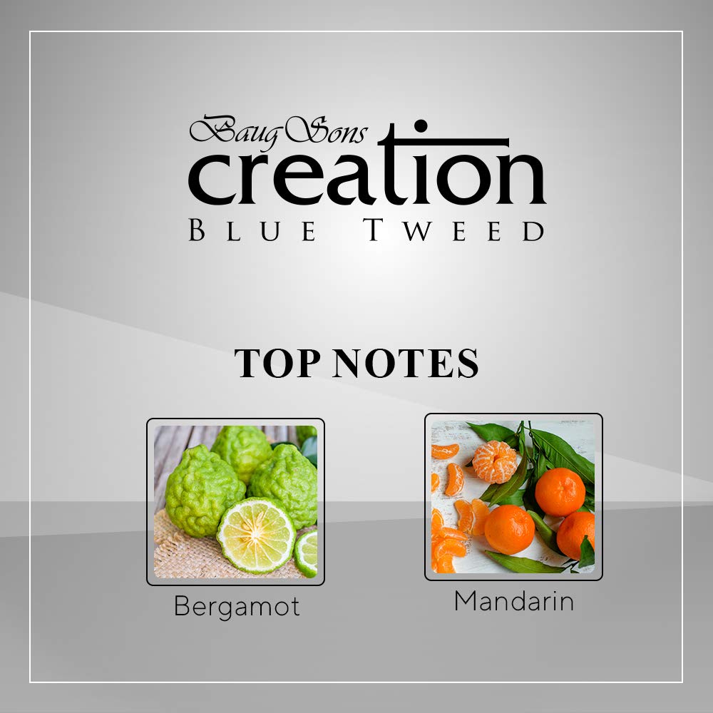 Baug Sons Creation Pour Homme EDP 100ml
