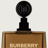 Burberry Hero Eau de Parfum Perfume for Men 100ml