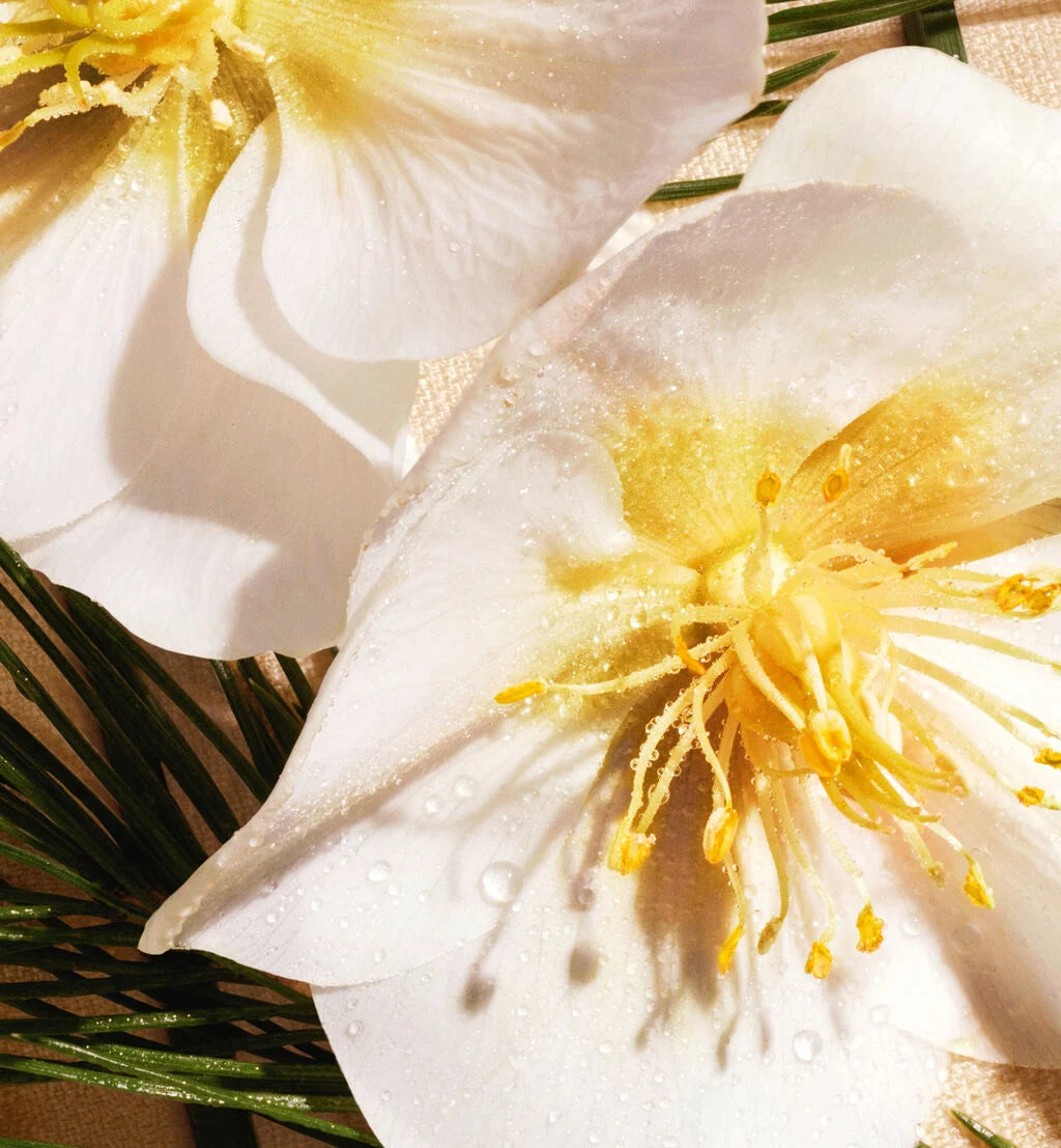 Christian Dior Eden-Roc Eau de Parfum