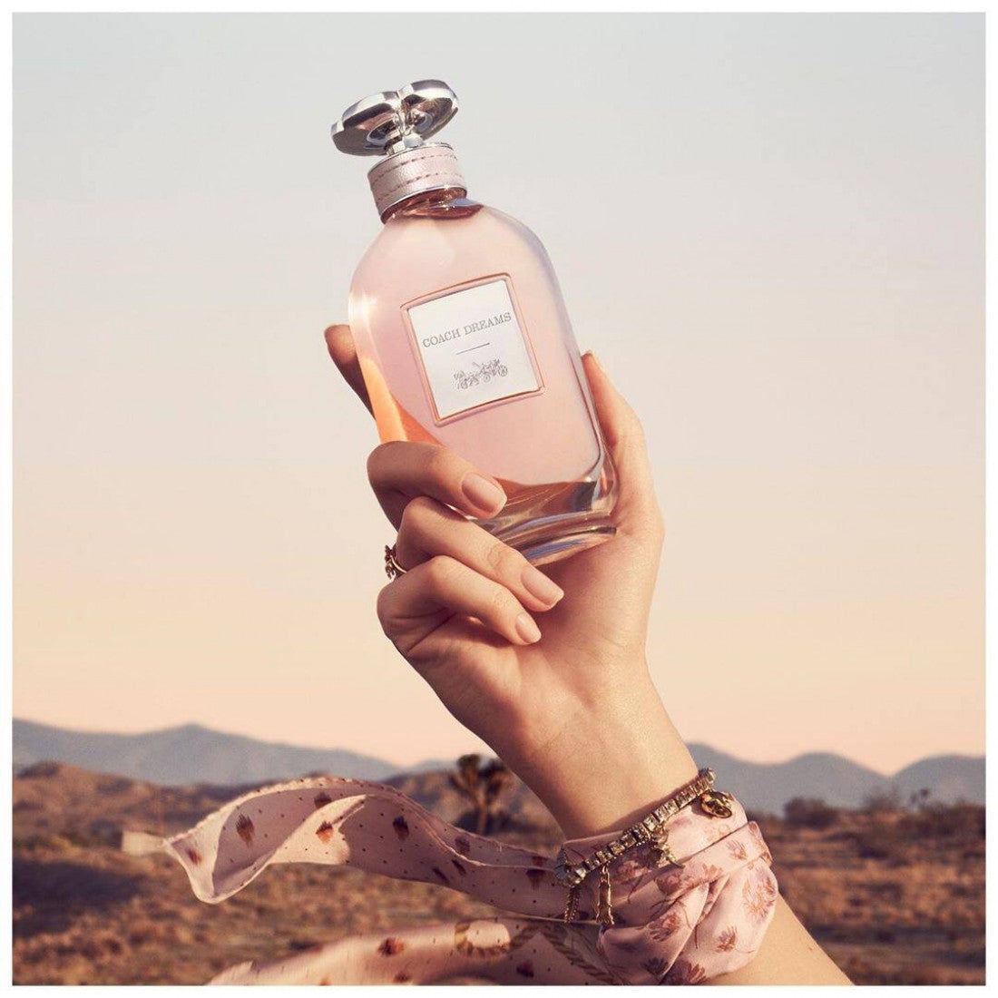 Coach Dreams Perfume EDP 90ml