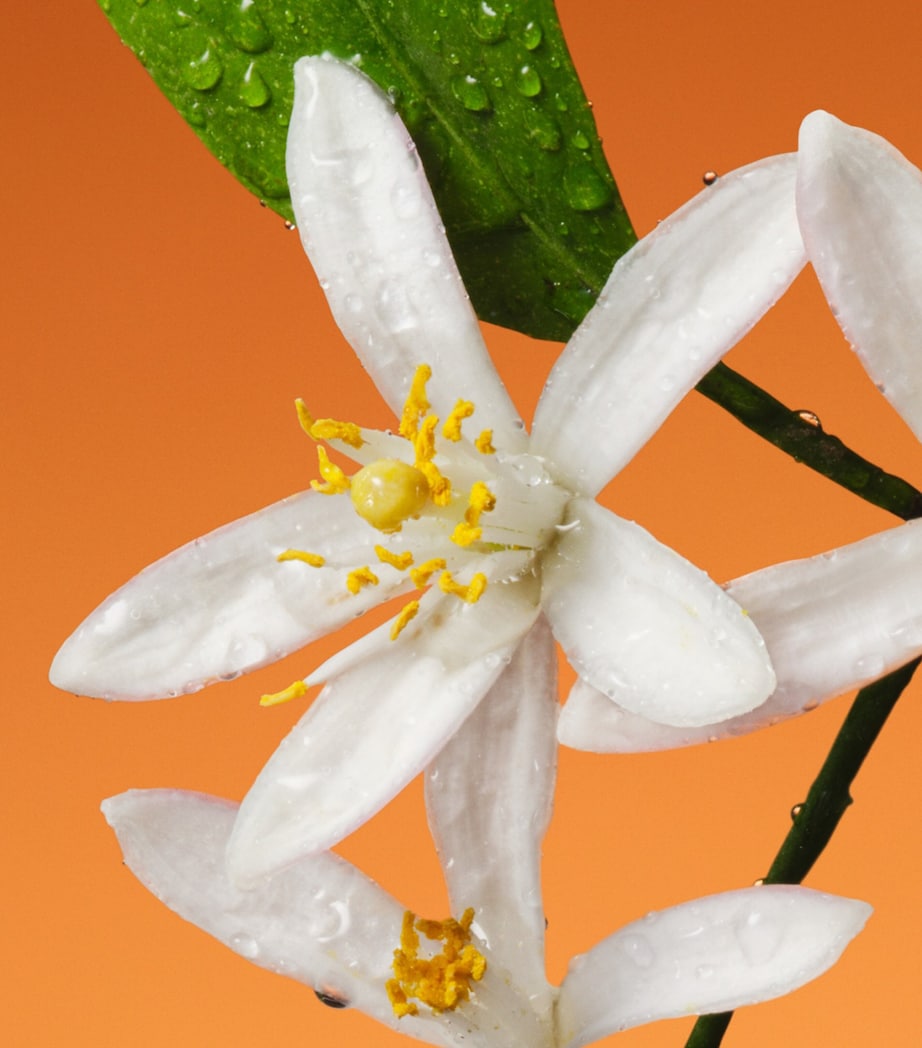 Gucci Fiori di Neroli Perfume EDP 100ml