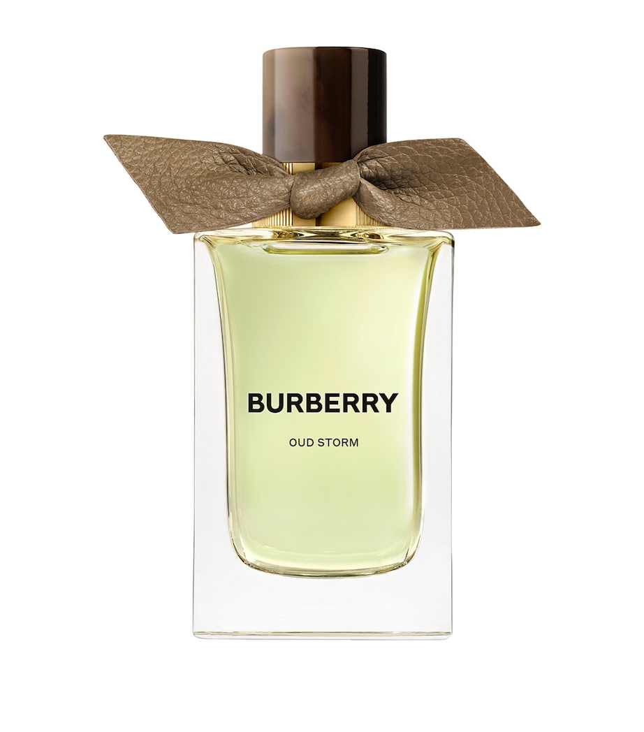 Oud Storm EDP Signatures Extreme Botanicals 100ml