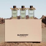 Oud Storm EDP Signatures Extreme Botanicals 100ml