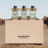 Oud Storm EDP Signatures Extreme Botanicals 100ml