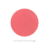 Soft Pinch Matte Bouncy Blush