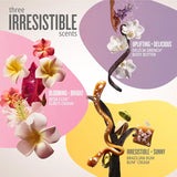  Sol de Janeiro Rio Body Trio Set