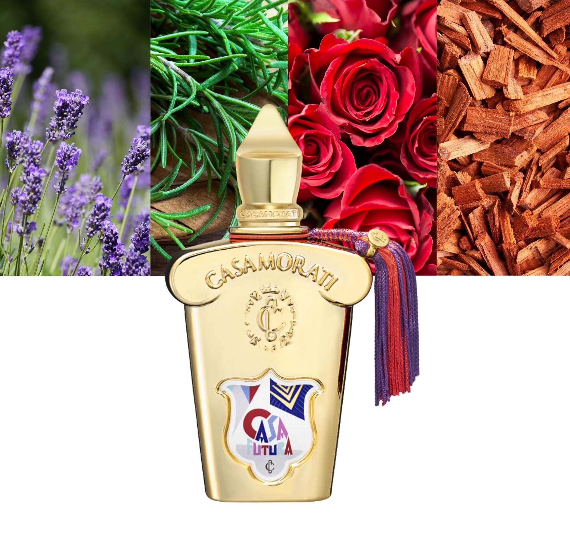 Xerjoff Casamorati 1888 CASAFUTURA EDP Perfume 3.3oz 100ml EAU DE PARFUM SPRAY