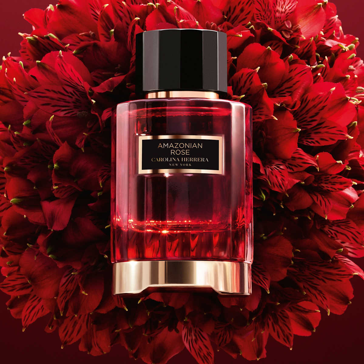 Carolina Herrera Amazonian Rose EDP Perfume 3.3oz 100ml EAU DE PARFUM SPRAY