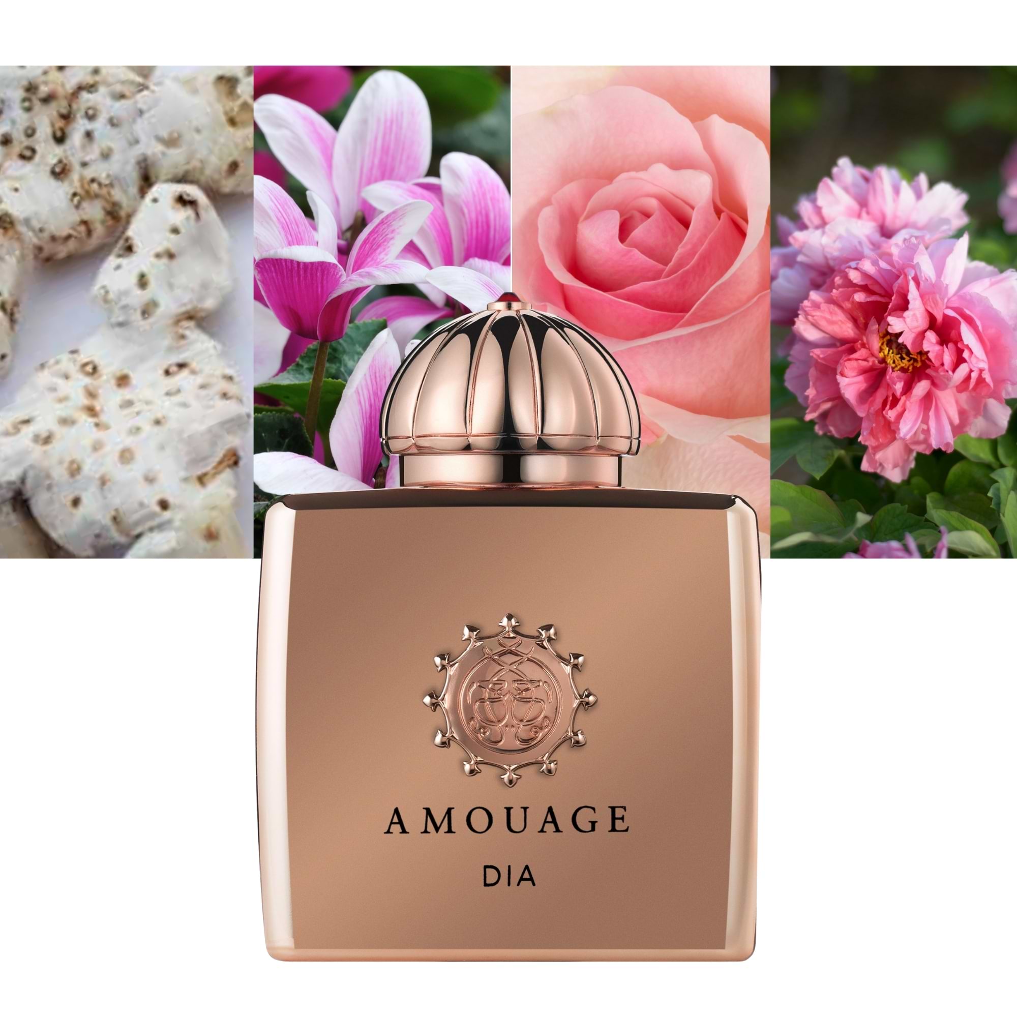 AMOUAGE DIA 100ml オードパルファム Amouage Dia | Egypt | 100% Original – RAMFA BEAUTY
