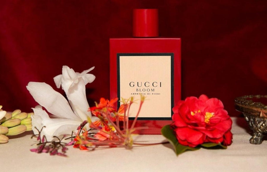 Gucci Bloom Ambrosia Di Fiori EDP Intense Women Perfume 3.4oz 100ml EAU DE PARFUM SPRAY  