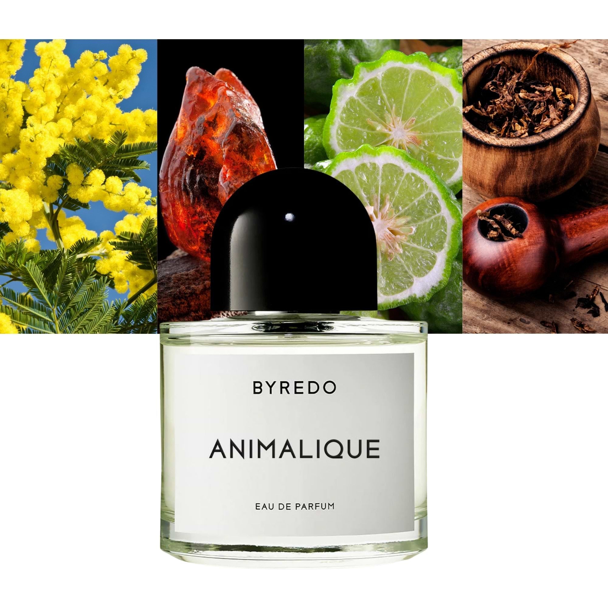 Byredo Animalique EDP Perfume (Unisex) 3.4oz 100ml EAU DE PARFUM SPRAY