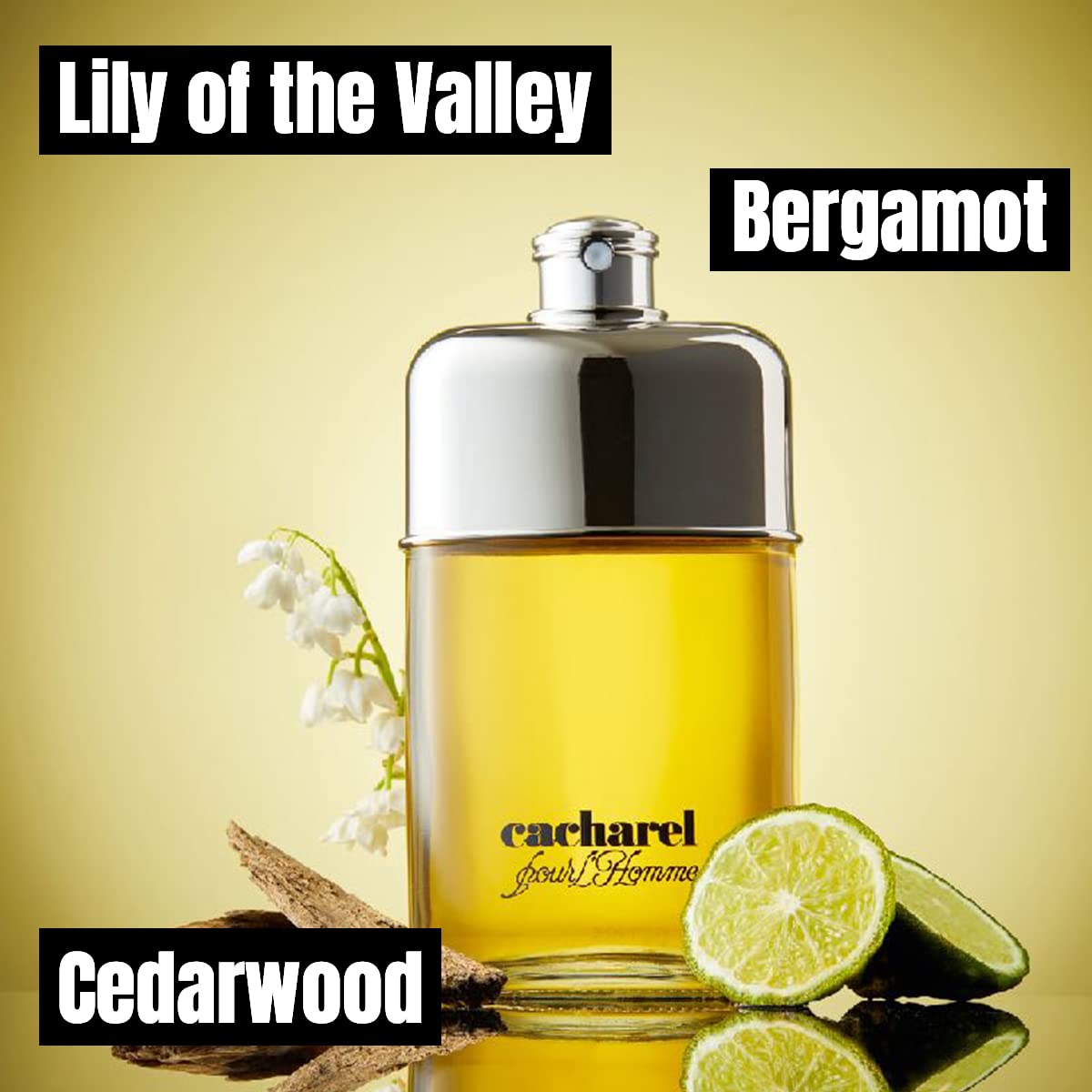 Cacharel Pour Homme EDT Men Perfume 3.4oz 100ml EAU DE TOILETTE SPRAY