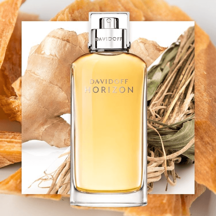 Davidoff Horizon EDT Men Perfume 4.2oz 125ml EAU DE TOILETTE SPRAY