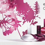 Calvin Klein Deep Euphoria Women Perfume 3.4oz 100ml EAU DE PARFUM SPRAY  