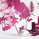 Calvin Klein Deep Euphoria Women Perfume 3.4oz 100ml EAU DE PARFUM SPRAY  