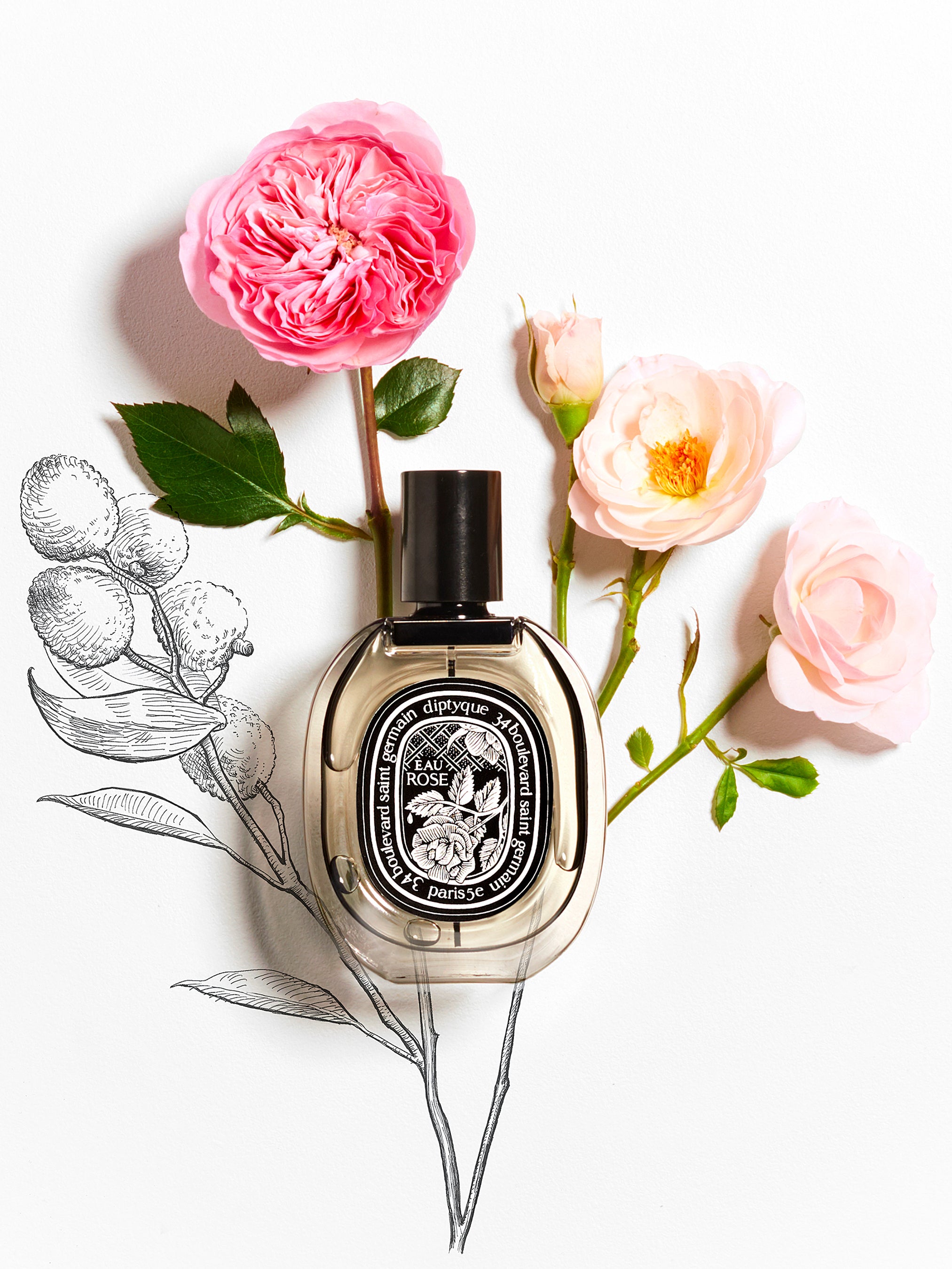 Diptyque Eau Rose EDP Perfume (Unisex) 2.6oz 75ml EAU DE PARFUM SPRAY