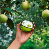 DKNY Be Delicious EDP Women Perfume 3.4oz 100ml EAU DE PARFUM SPRAY