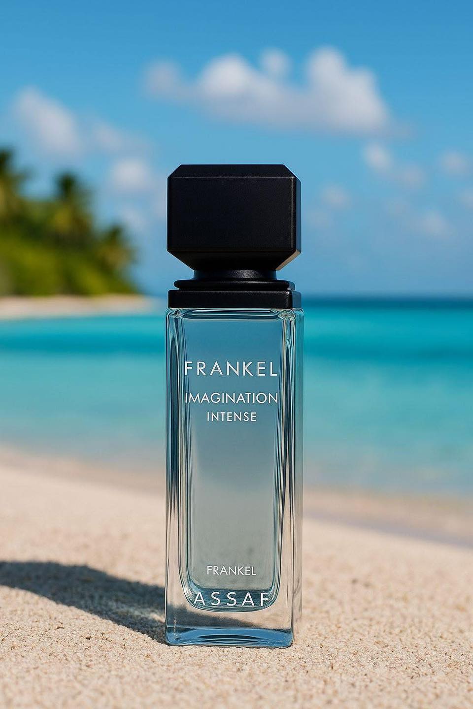 Assaf Frankel Imagination Women Perfume 3.4oz 100ml EAU DE PARFUM SPRAY