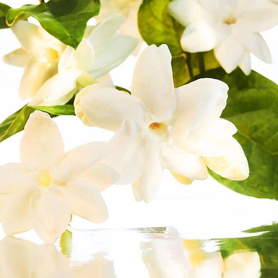 Mon Guerlain Women Perfume 3.4oz 100ml EAU DE PARFUM SPRAY  