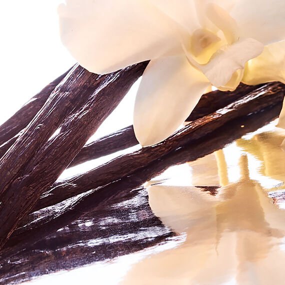 Mon Guerlain Women Perfume 3.4oz 100ml EAU DE PARFUM SPRAY  