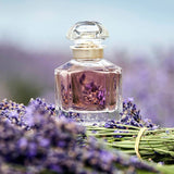 Mon Guerlain Women Perfume 3.4oz 100ml EAU DE PARFUM SPRAY  