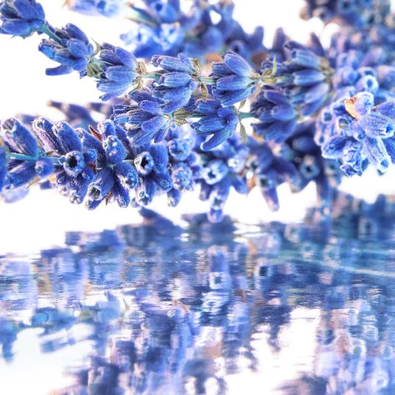 Mon Guerlain Women Perfume 3.4oz 100ml EAU DE PARFUM SPRAY  