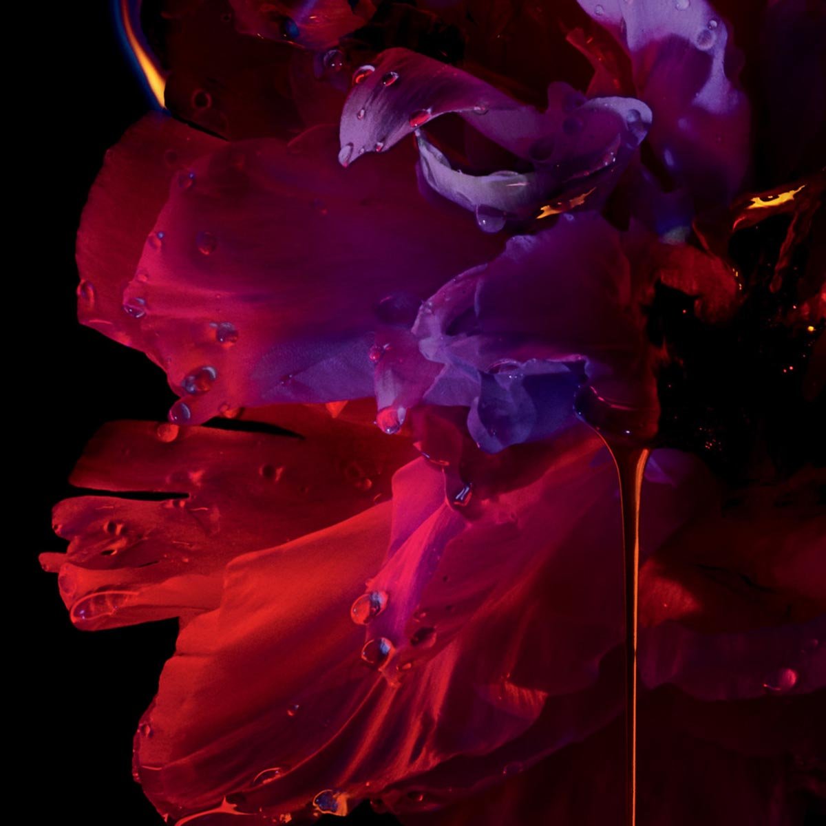 Christian Dior Hypnotic Poison Women Perfume 3.4oz 100ml EAU DE TOILETTE SPRAY