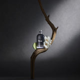 Roberto Cavalli Just Cavalli Wild Heart For Him EDT Perfume 3oz 90ml EAU DE TOILETTE SPRAY