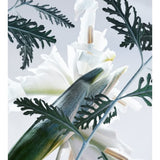 Bvlgari Man Glacial Essence Men Perfume 3.4oz 100ml EAU DE PARFUM SPRAY 