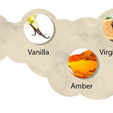 Givenchy Organza Women Perfume 3.4oz 100ml EAU DE PARFUME SPRAY  